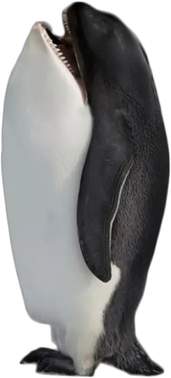 Hybrid Penguin Killer Whale Png Image Purepng Free Animal Hybrids Meme Whale Transparent Background