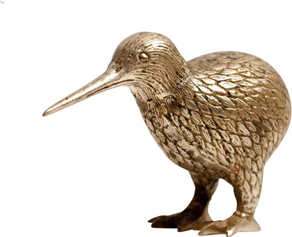 Download Gold Silver Kiwi Gold Kiwi Animal Transparent Dowitcher Png Kiwi Transparent