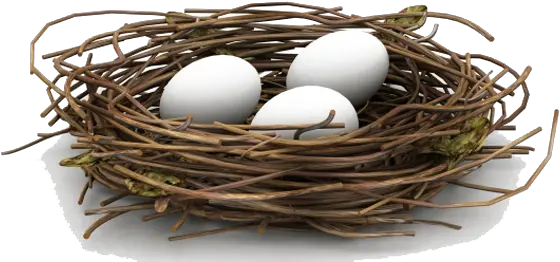 Nest Png Hd Nest Png Nest Png