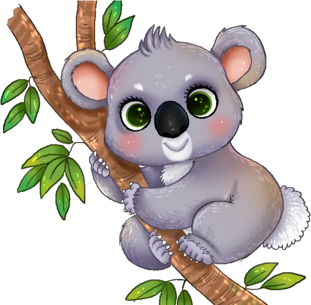 Koala Png Transparent Koala Clipart Koala Transparent