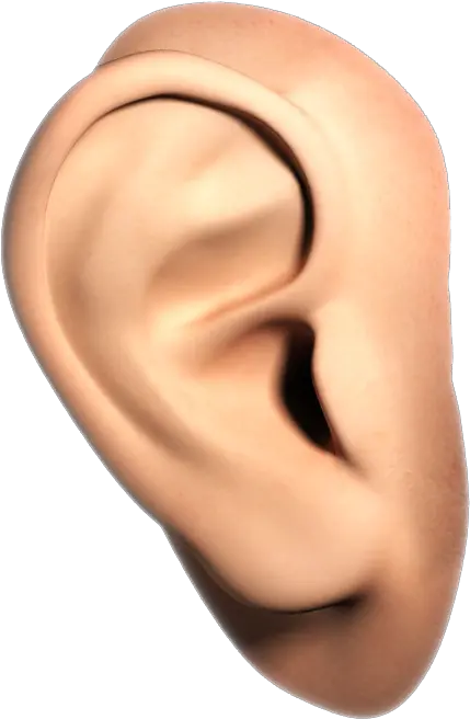 Download Ear Png Image For Free Human Ear Transparent Background Nose Png