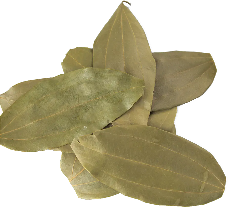Indian Bay Leaves Tej Patta Bay Leaf Spice Png Laurel Leaves Png