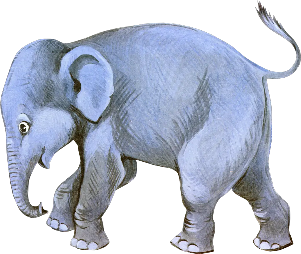 Transparent Png Image Circus Elephant