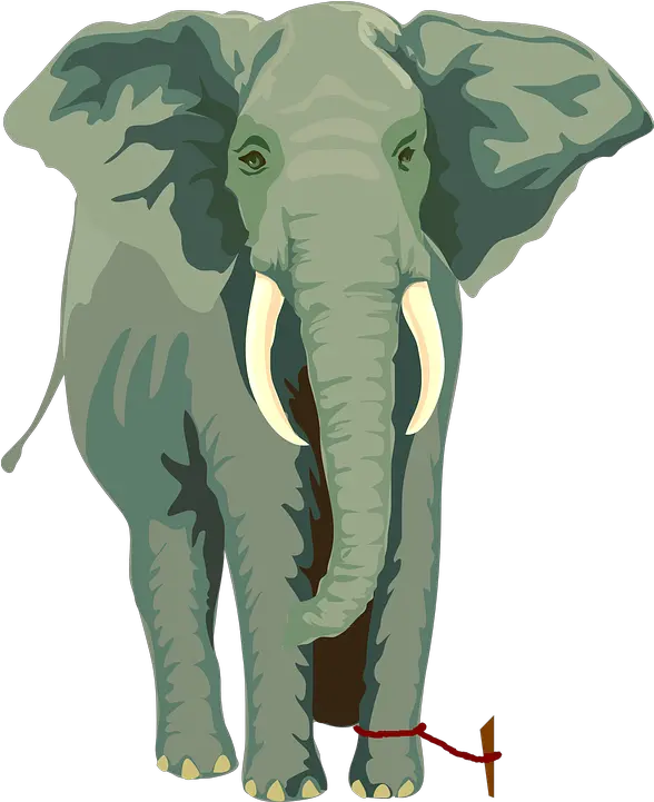 Elephant And Tiny Rope Story About Belief Clip Elephant Tied To Rope Png Circus Elephant Png