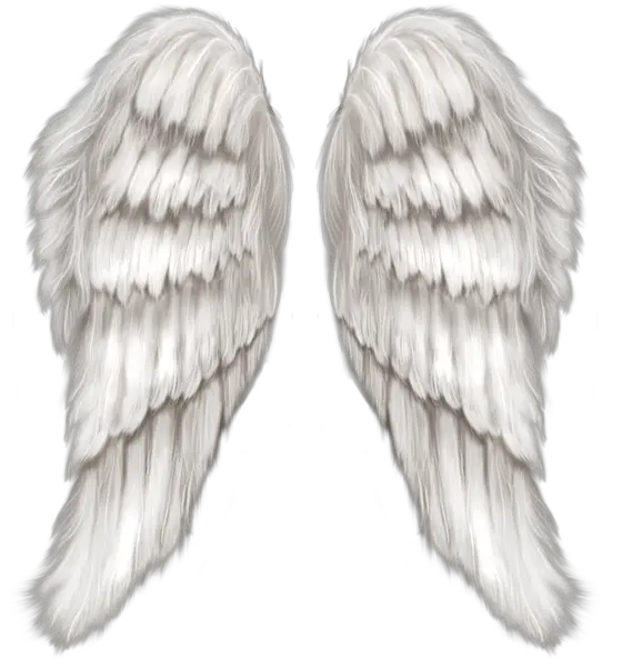Wings Angel Close Png