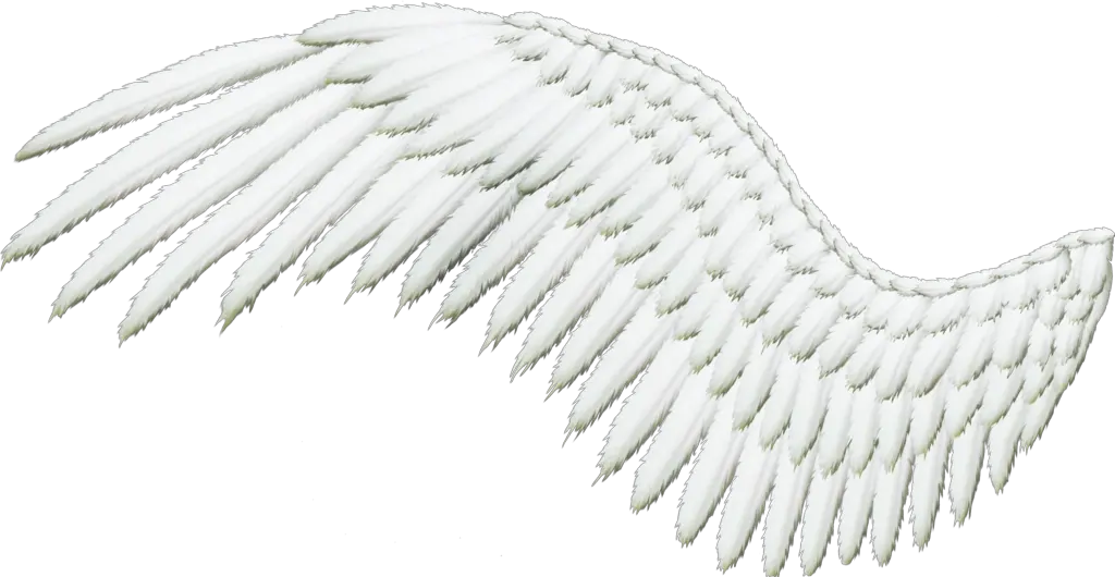 White Angel Wings Png Free