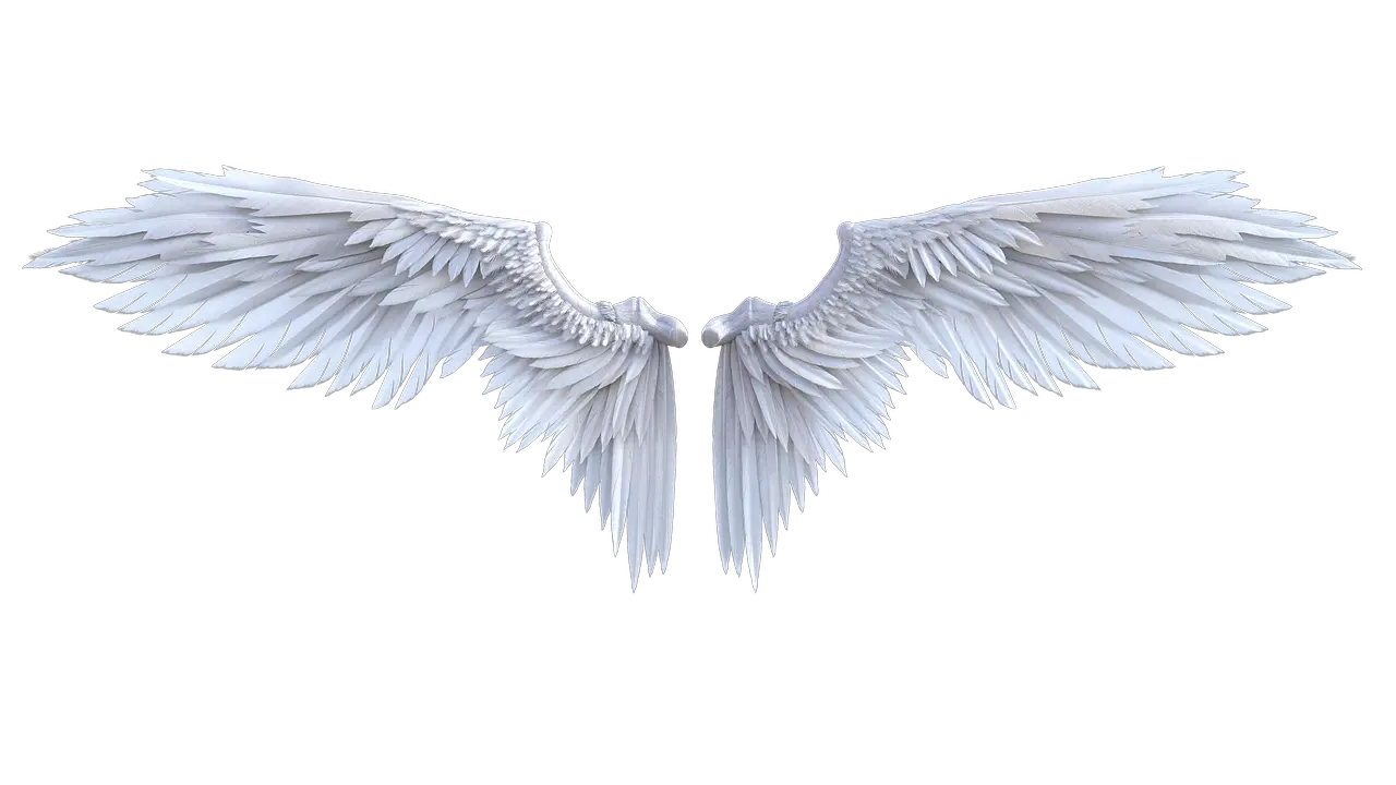 Ui Rope With Angel Wings Png