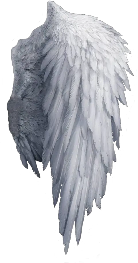 Tumblr Transparent Neon Angel Wings Png