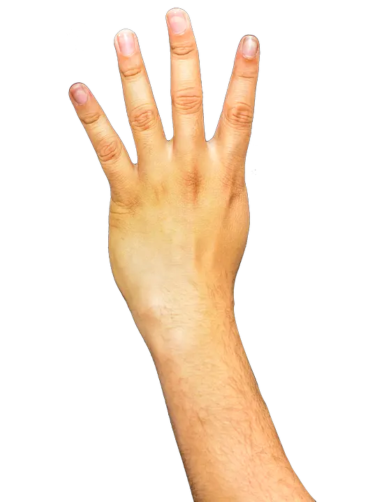 Download Arm Transparent Background Hq Png Image Freepngimg Transparent Background Arm Png Nail Transparent Background