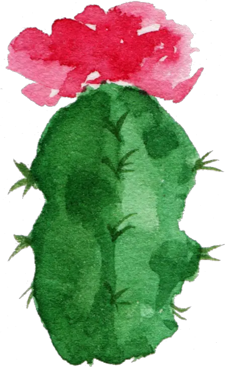 Download Hd Paper Cactaceae Watercolor Painting Succulent Watercolor Succulent Transparent Background Png Succulent Transparent Background