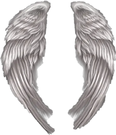 Tattoo Angel Wing Png