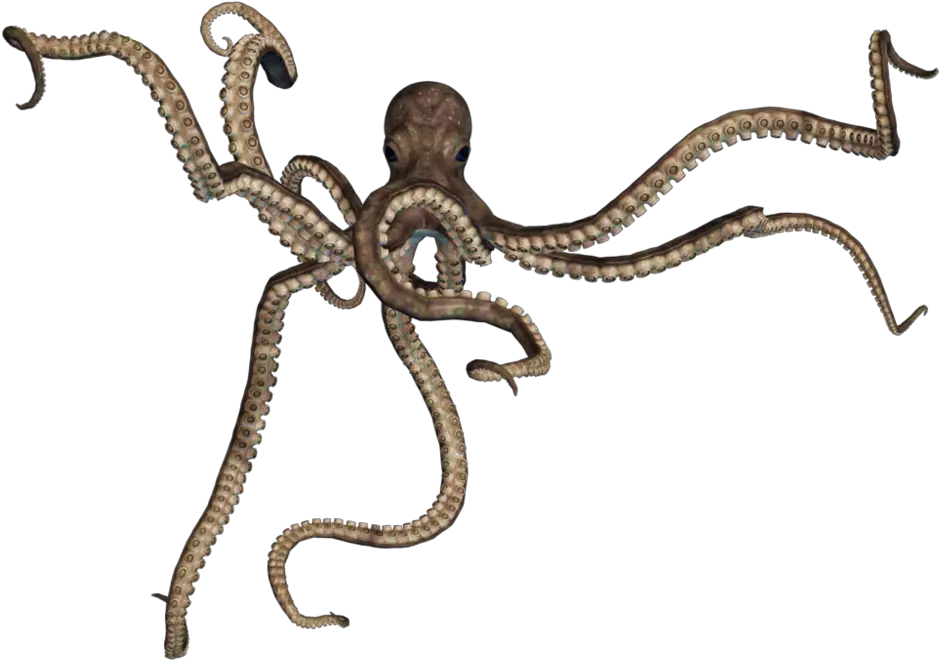 Stock Image Png 5 Giant Octopus Png Stock Photo Png