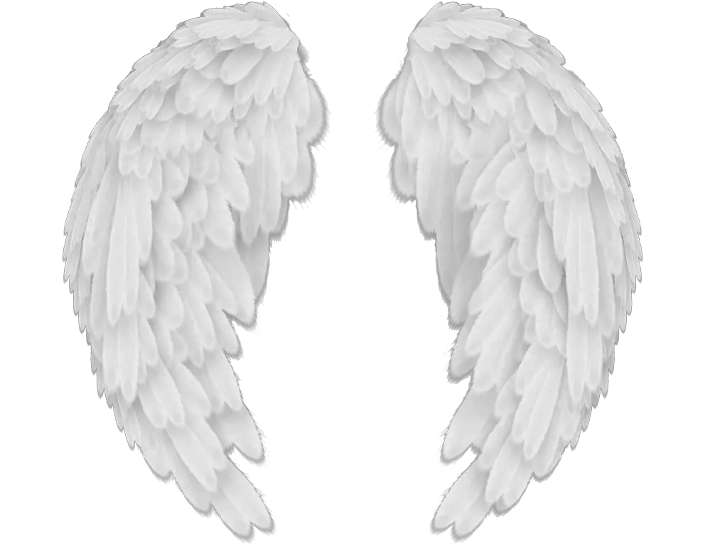Side Wrapped Angel Wings Png