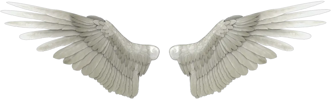 Side Angel Wing Png
