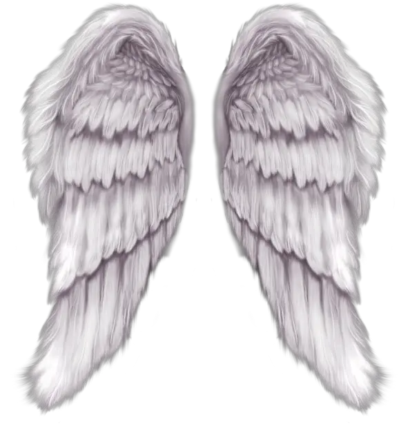 Side View Transparent Background Angel Wings Png