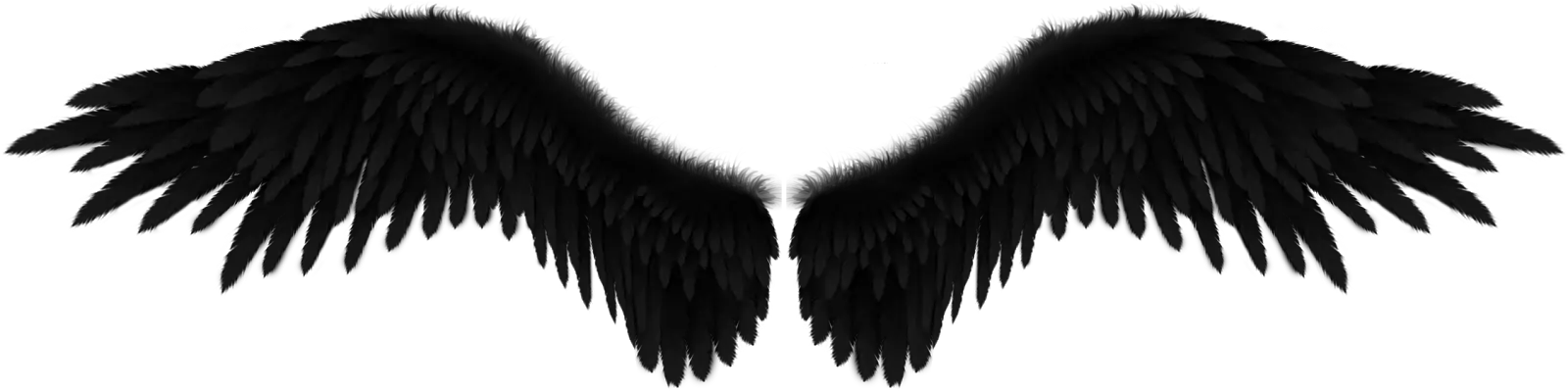 Shadow Angel Wing Png