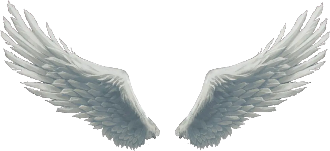 Rainbow Angel Wings Png