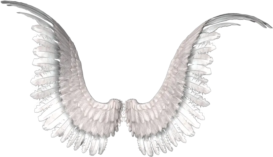 Png Images With Transparent Background Free Download Angel Wings
