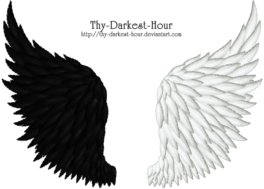 Png Images Of Angel Wings