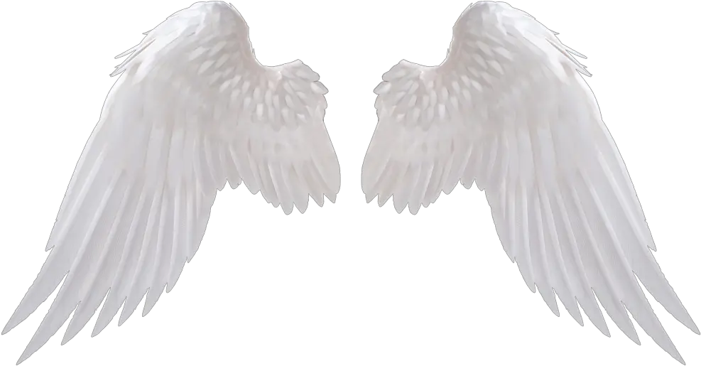 Png Angel Wings For Photoshop