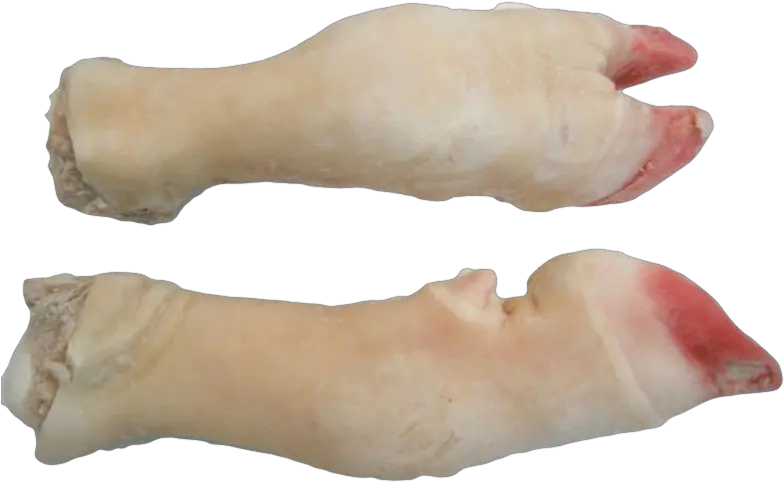 Download Cow Feet Fresh Cow Leg Png Feet Png