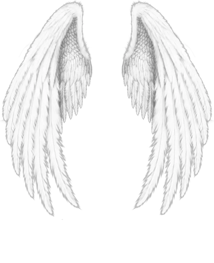 Pictures Of Angels Wings Png