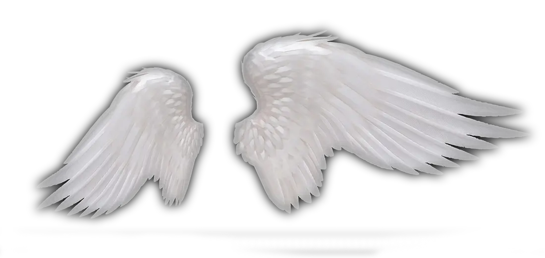 Png Angel Wing