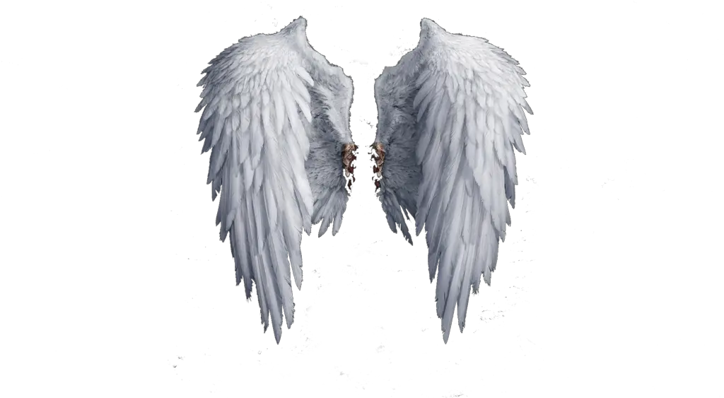 One Winged Angel Png