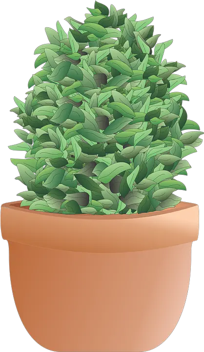 Shrub Bush Plant Free Image On Pixabay Flowerpot Png Shrub Transparent Background