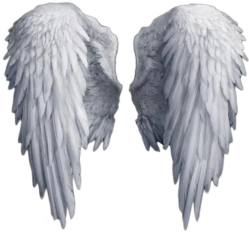 Long Angel Wings Png