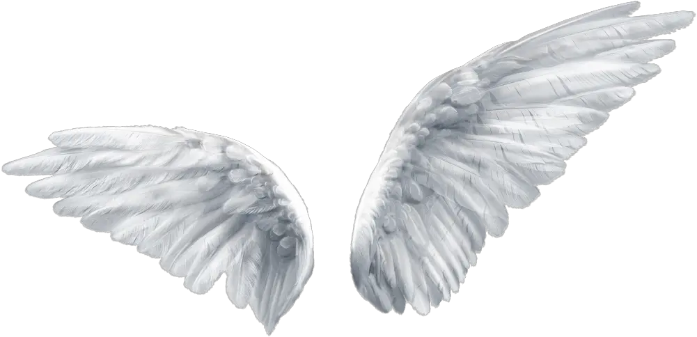 Lack Angel Wings Png