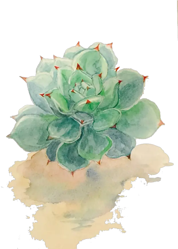 Watercolor Painting Drawing Transparent Background Watercolor Succulent Png Succulent Transparent Background