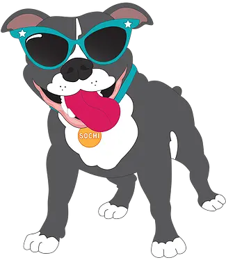Download Pit Bull Clipart Happy Pitbull Png Cartoon Png Pit Bull Png