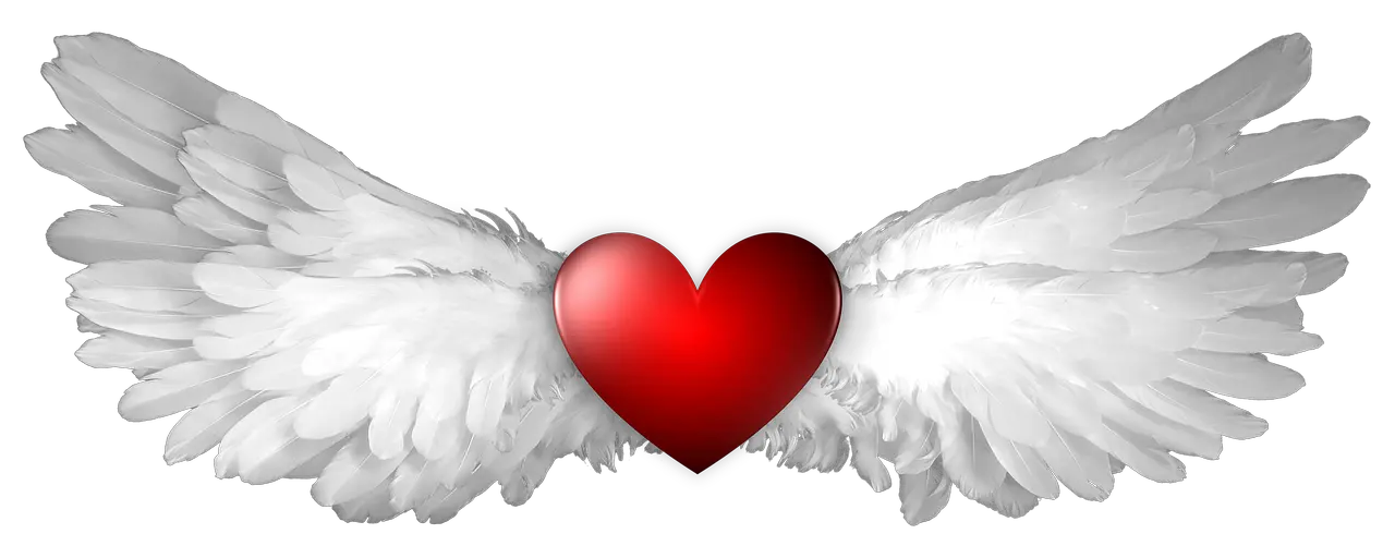 Guardian Angel Wings Png