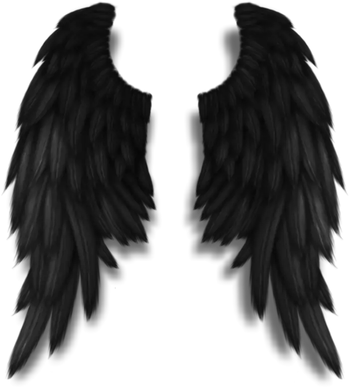 Free Angel Wings Flat Png