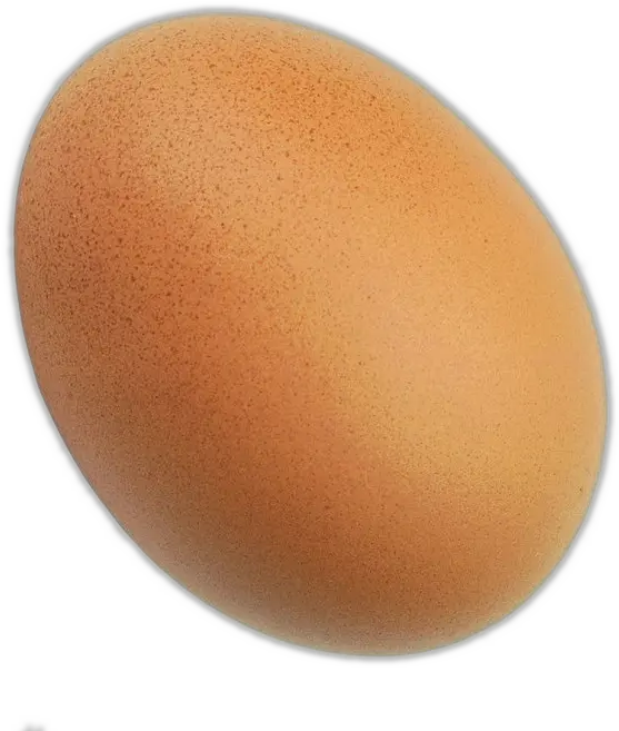 Big Bird Egg Png Download Bird Egg Png Egg Png