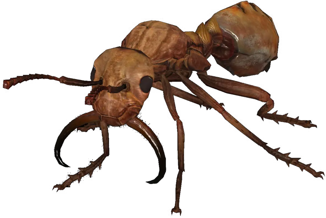 Giant Ant Nuka World The Vault Fallout Wiki Everything Ant Png Ants Png