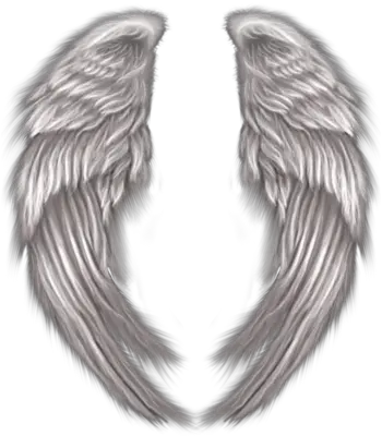 Glowing Angel Wings And Clouds Png Free