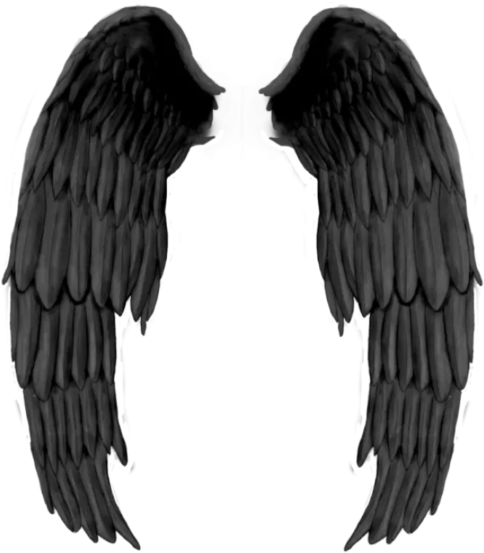Black Wings Png Image Purepng Free Transparent Cc0 Png Realistic Black Angel Wings Wing Transparent