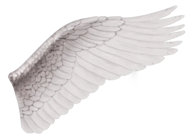 Drawn Angel Wings Png