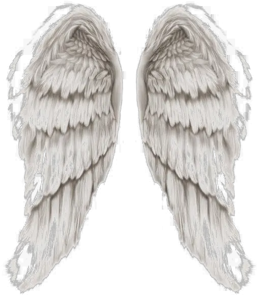 Download Angel Wings Png