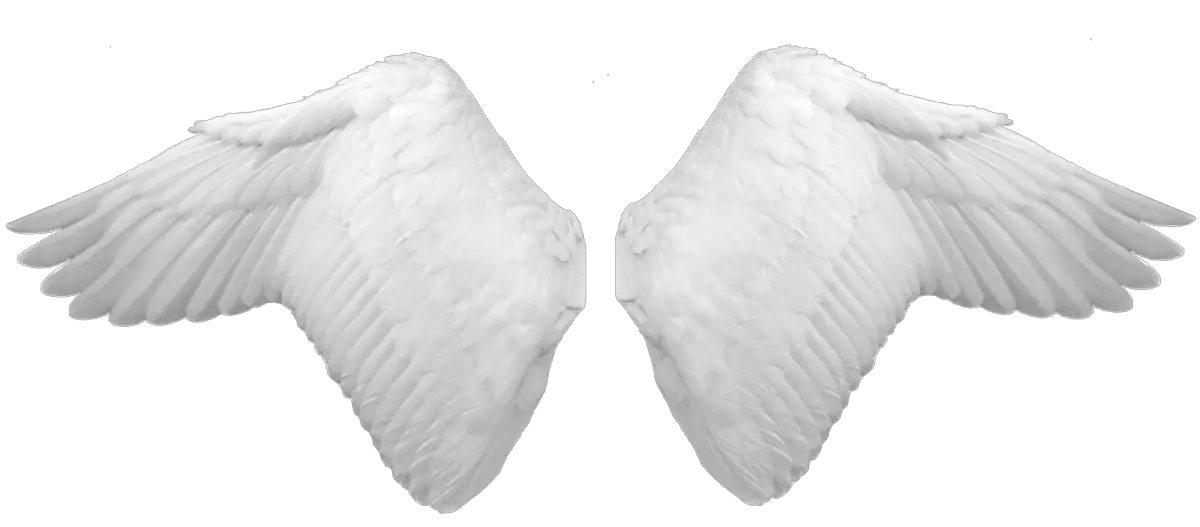 Crystal Angel Wings Png