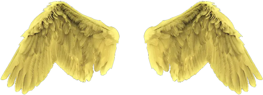 Detailed Angel Wings Vector Png