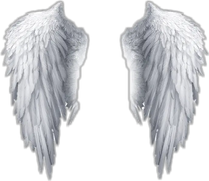 Cool Angelic Wings Png Format
