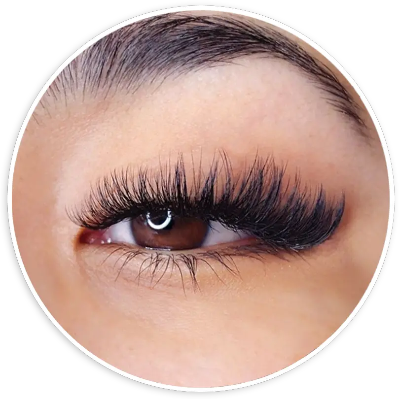 Beyond Beauty Png Eyelash