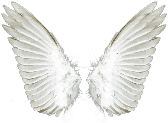 Baby Angel Wings Png