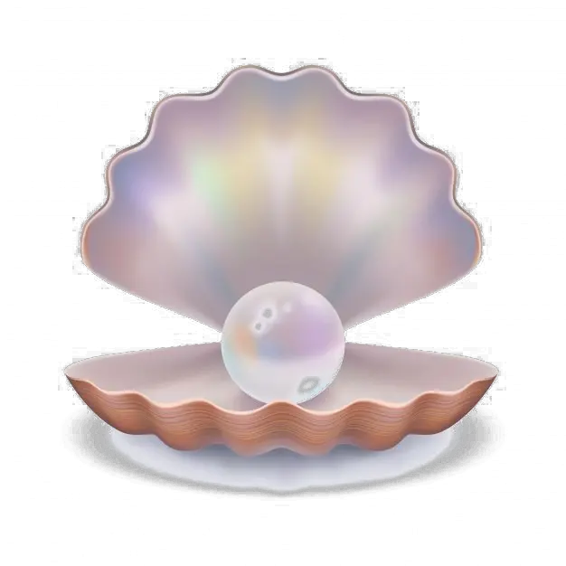 Pearl Background Png Transparent Background Clam Shell Png Pearl Transparent Background