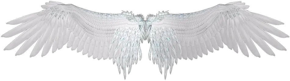 Angel With No Wings Back Png