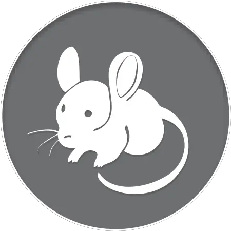 The First To Be Certified In 2019 U2013 Pijac Canada Rat Png Jessica Rabbit Icon