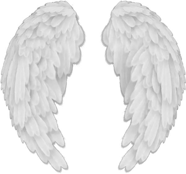 Angel Wings With Heart And Halo Png